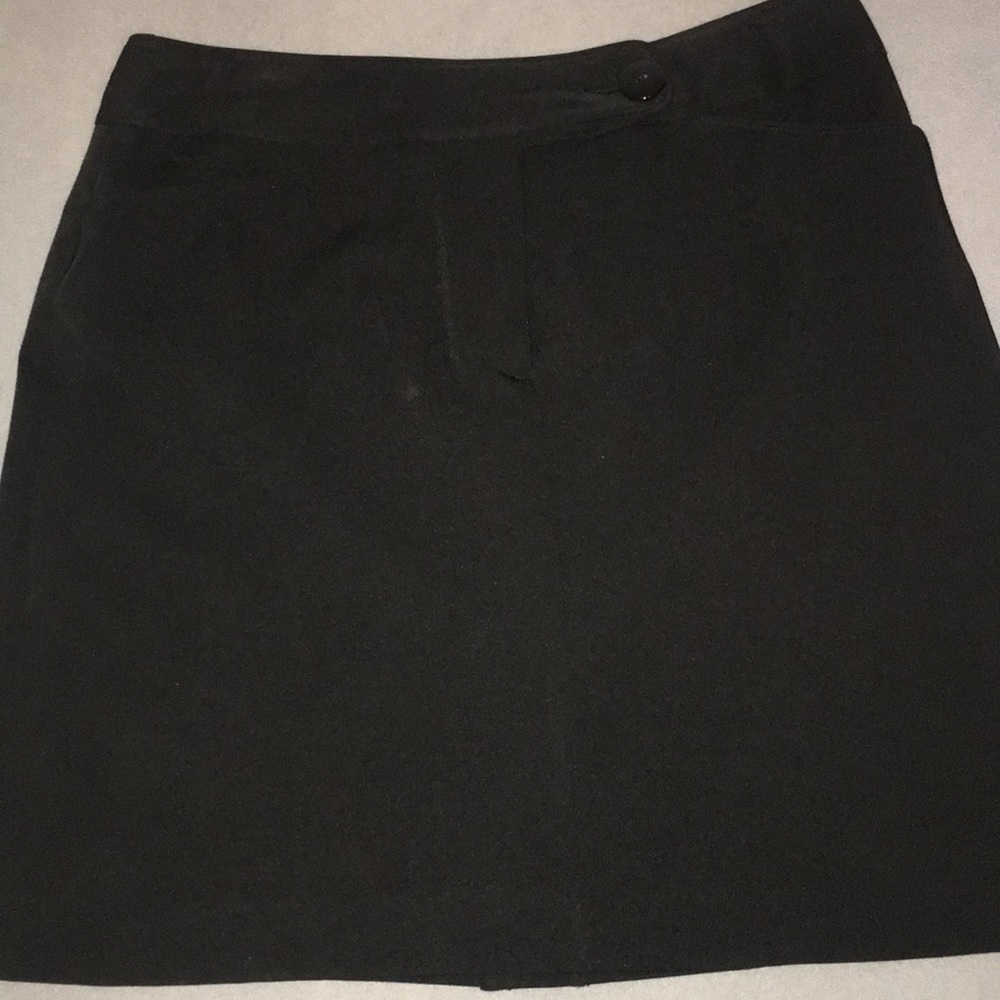 Taylor dress skirt